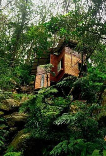 Bed and Breakfast Jungle Tree House Rangala à Kandy Extérieur photo