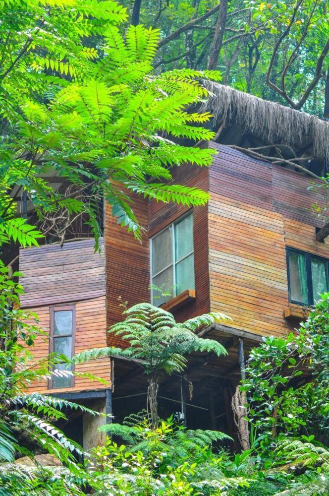 Bed and Breakfast Jungle Tree House Rangala à Kandy Extérieur photo
