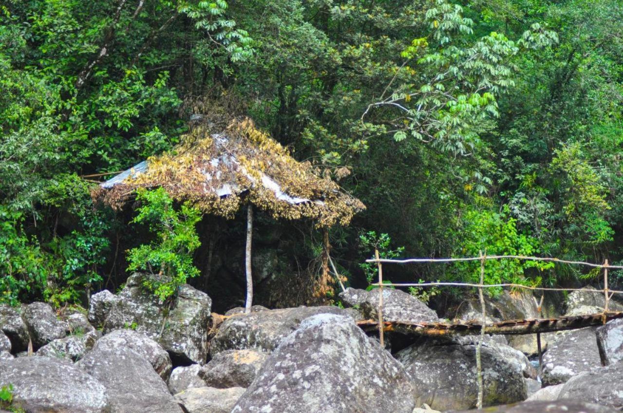 Bed and Breakfast Jungle Tree House Rangala à Kandy Extérieur photo