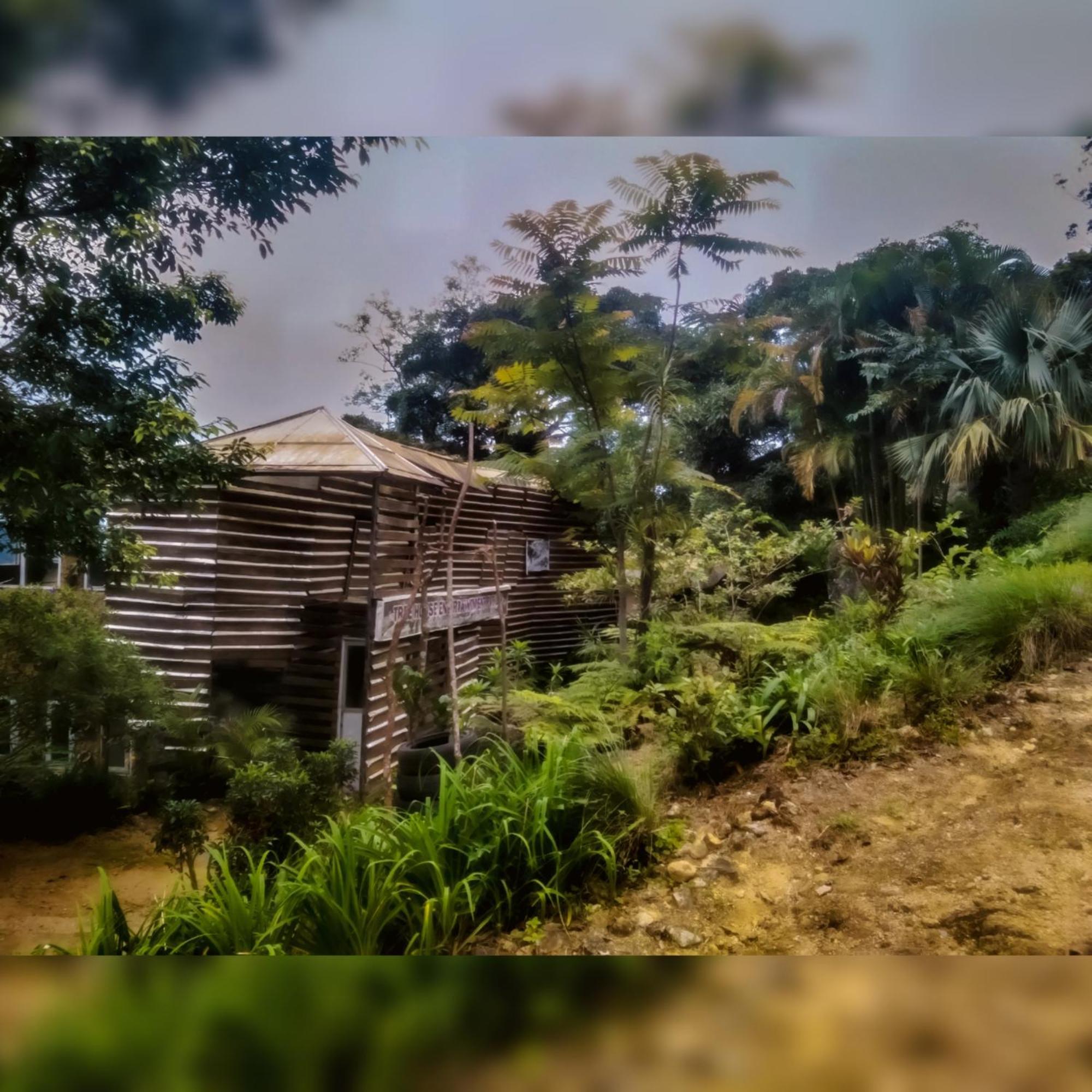Bed and Breakfast Jungle Tree House Rangala à Kandy Extérieur photo